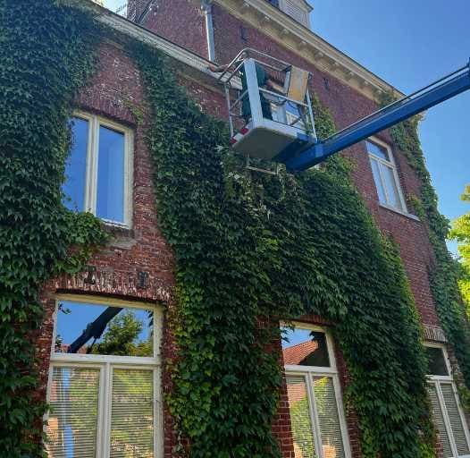Snoeien van gevelbeplanting met een hoogtewerker