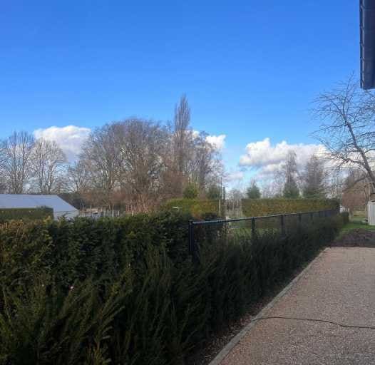 Strak gesnoeide haag langs een oprit
