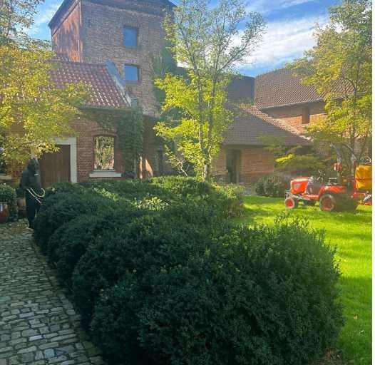 Snoeiwerk aan hagen tijdens onderhoud