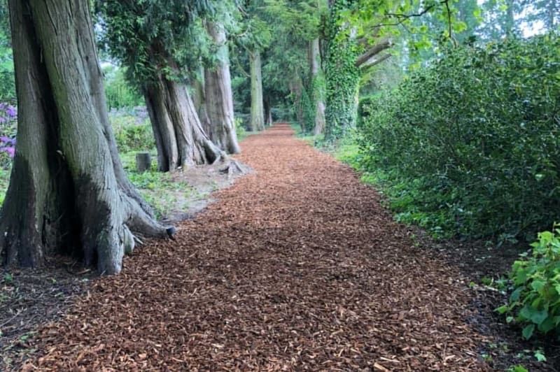 Aangelegd wandelpad met houtsnippers tussen de bomen