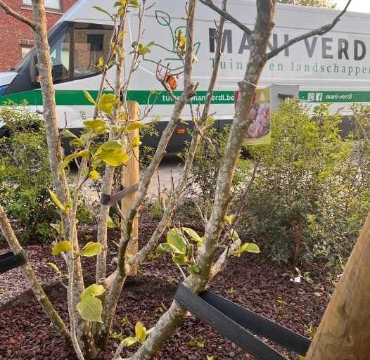 Bedrijfswagen van Mani Verdi bij een nieuw plantvak